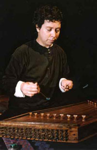 musico multi instrumentista